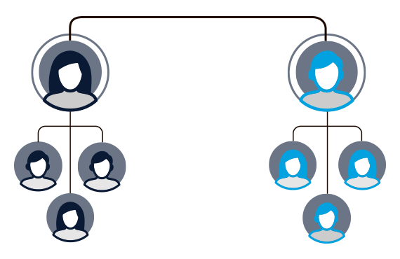 SAASPASS Directory Services